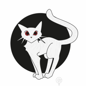 bianco notteinquieta