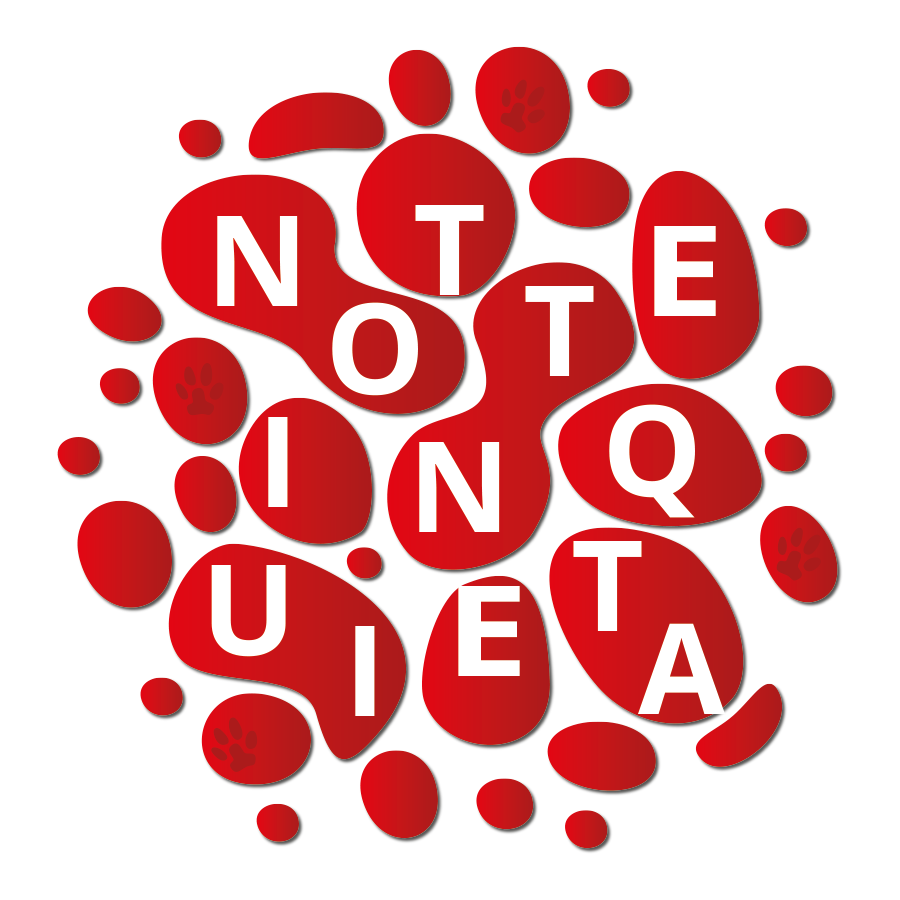 benvenuti-sul-sito-della-notte-inquieta