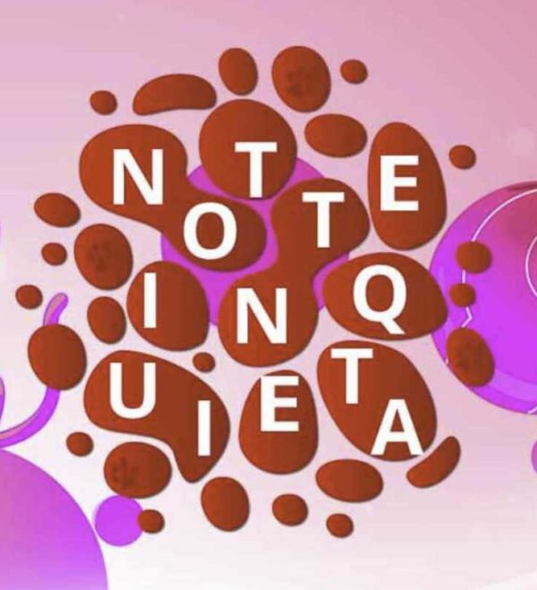 Nuovi lavori sul sito