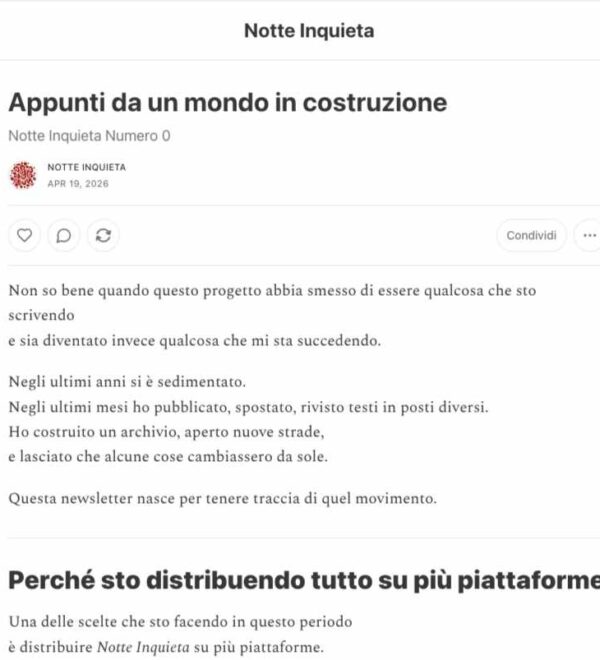 Appunti da un mondo in costruzione